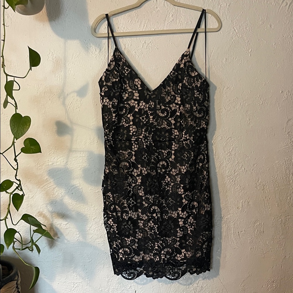 Express Mini Black Lace Dress